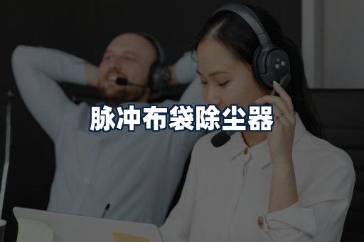 脉冲布袋除尘器
